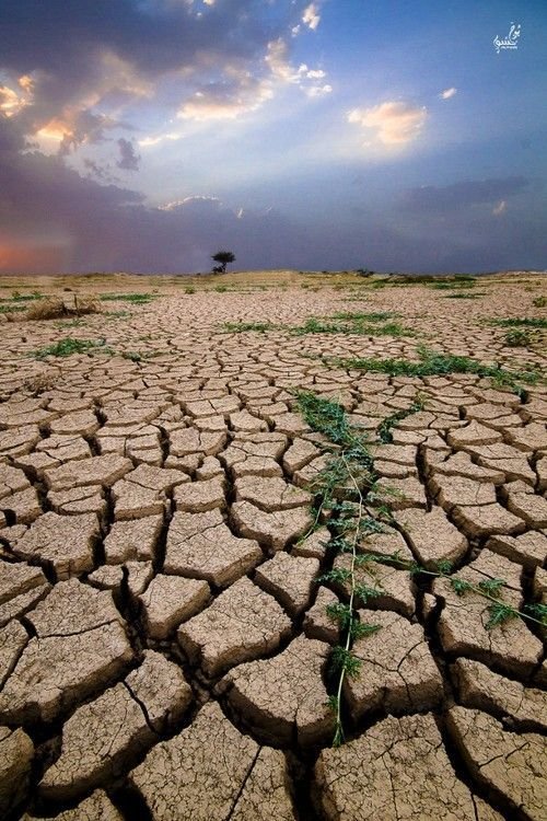 Aid for Trade and Development Cuts: How Donor Policy Shifts Are Deepening the Climate-Conflict Crisis in the Sahel